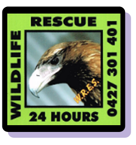 Visit the Wildlife REscue Emergency Service web site.